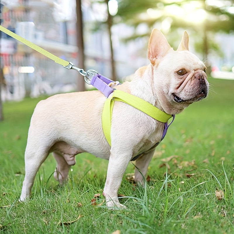 Rainbow Colorblock Pet Harness Set Anti-Escape Vest Type