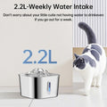 2.2L Stainless Steel Pet Cat Water Fountain For Dogs And Cats