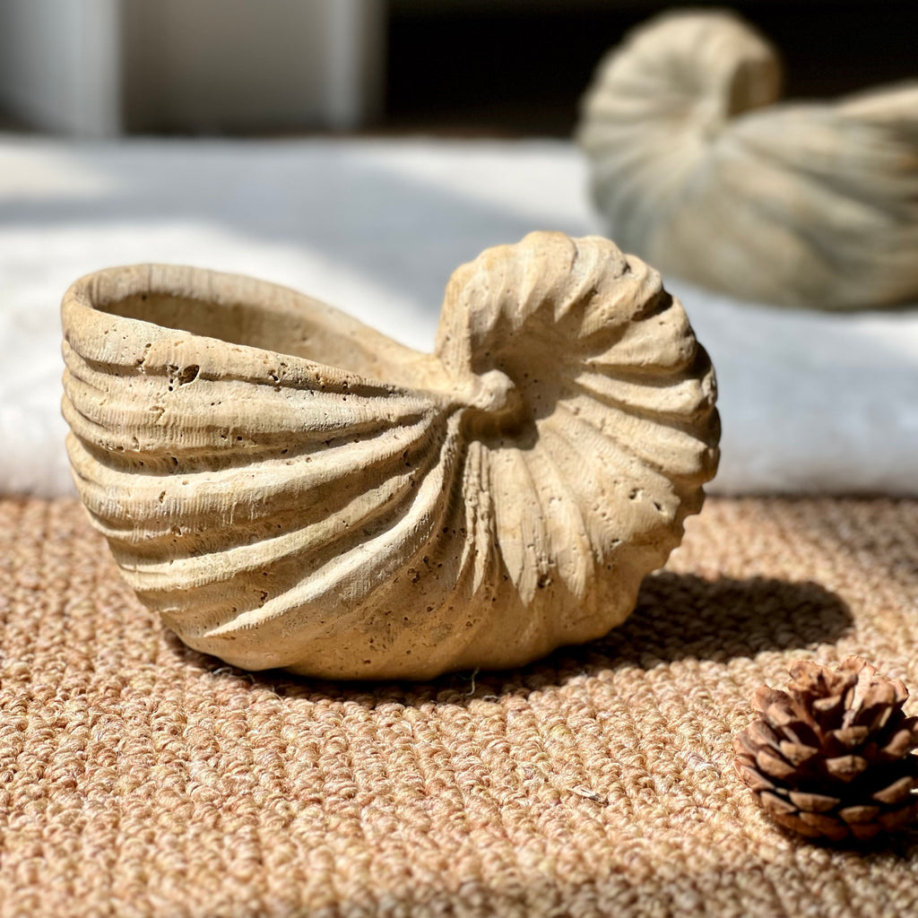 Natural Silver-Gray Travertine Conch Ornament